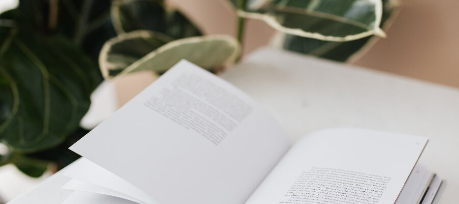 Hämeen kesäyliopisto